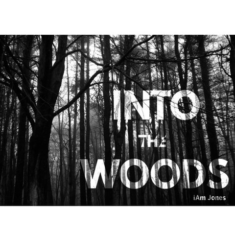 (Albums You Should Love) iAmJones – “Into The Woods”